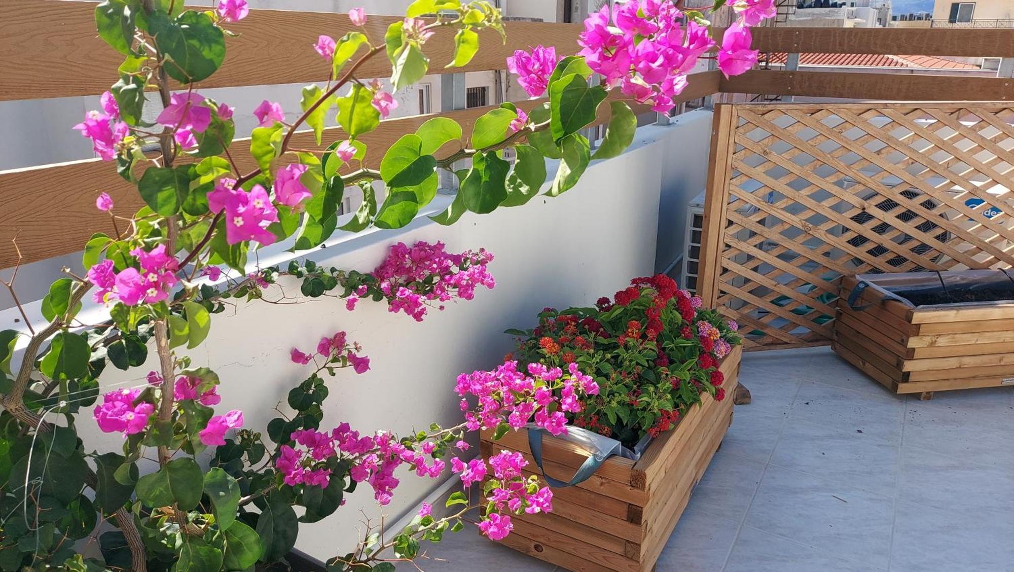 The Blue Apartment In The Heart Of Heraklion Exterior foto